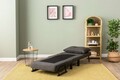 Canapea extensibilă cu 1 loc, Futon, 859FTN2346, Metal , Gri inchis