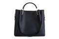 Geanta Beverly Hills Polo Club, 396, piele ecologica, bleumarin