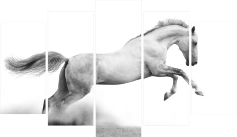 Set 5 tablouri decorative Horse, Homemania, lemn de pin/poliester