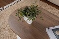 Masuta de cafea, Nordure, Sable, Nuc/Alb