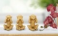 Set 3 decoratiuni, Mauro Ferretti, Monkey, 6.3 x 2 x 9.2 cm, polirasina, auriu