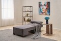 Fotoliu extensibil, Balcab Home, 825BLC4707, Lemn, Gri
