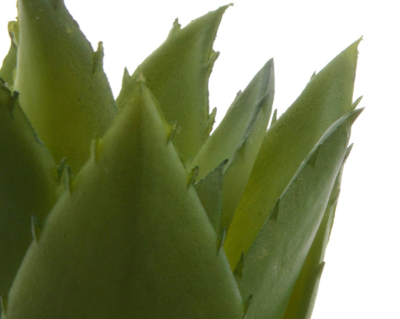 Floare artificiala in ghiveci Succulent v1, Decoris, 5 x 5 x 12 cm, plastic/iuta, verde
