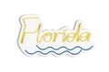 Decoratiune luminoasa LED, Florida, Benzi flexibile de neon, DC 12 V, Galben / Albastru
