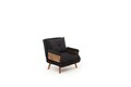 Canapea extensibilă cu 1 loc, Futon, 859FTN2335, Metal , Negru