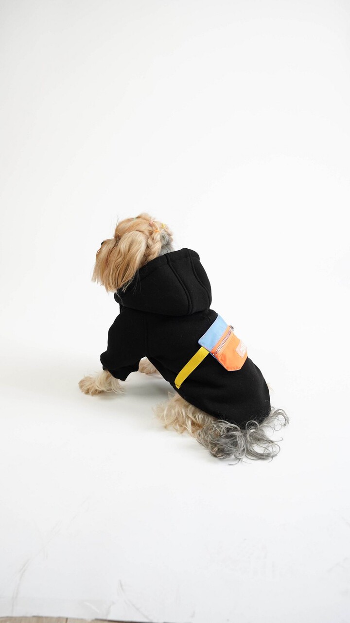 Hanorac pentru câini, Paws &amp; Whiskers, City Walk Hoodie, Negru - imagine 4