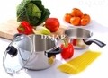 Oala cu capac Vikos, Ambition, 3.4 L, 20 cm, inox