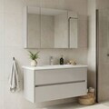 Set Dulap de Baie cu Chiuvetă și Oglindă (2 Piese), Hanah Home, Arno 100, Casmir