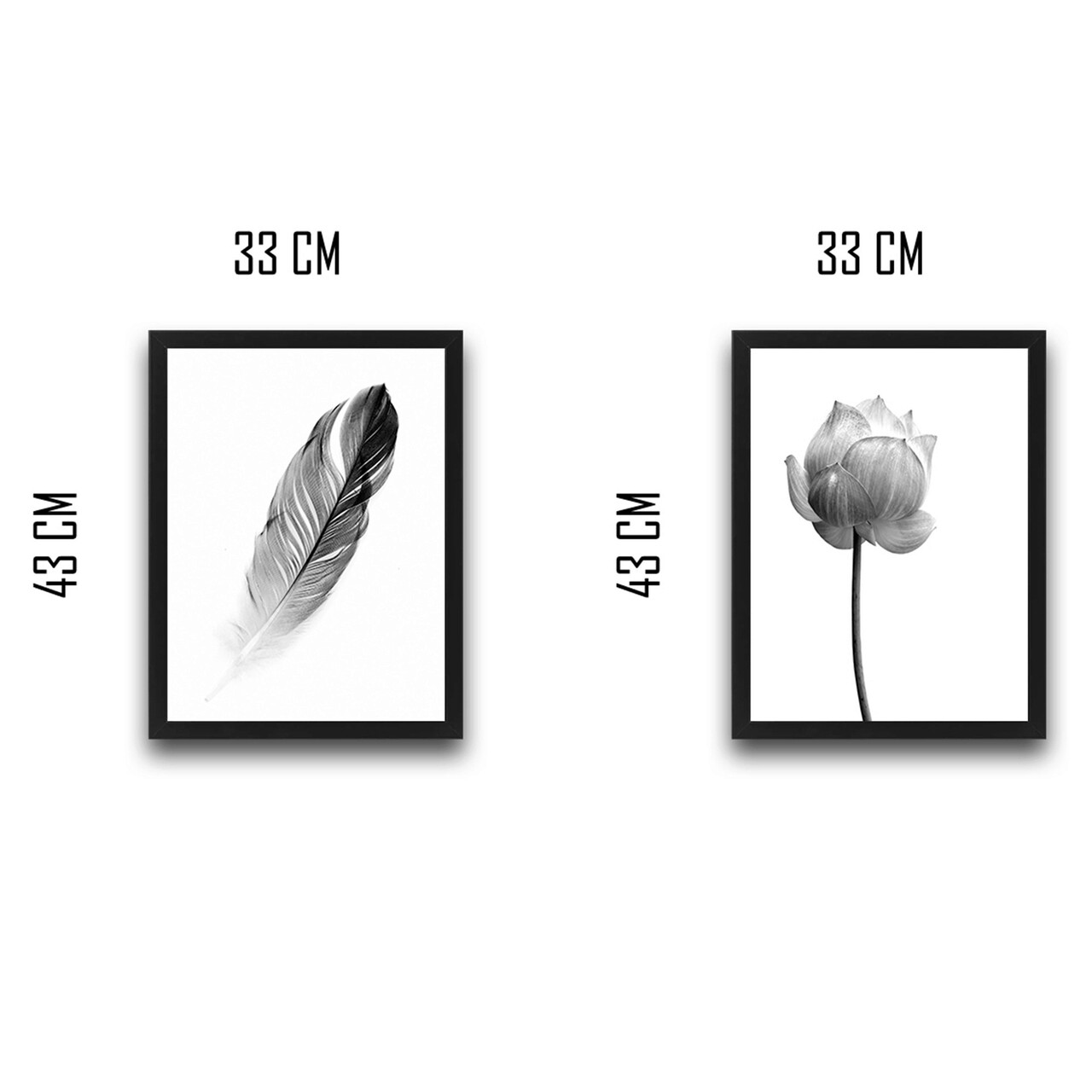 Set 2 tablouri decorative, Flower Feather Set, PAL, Hartie, Multicolor
