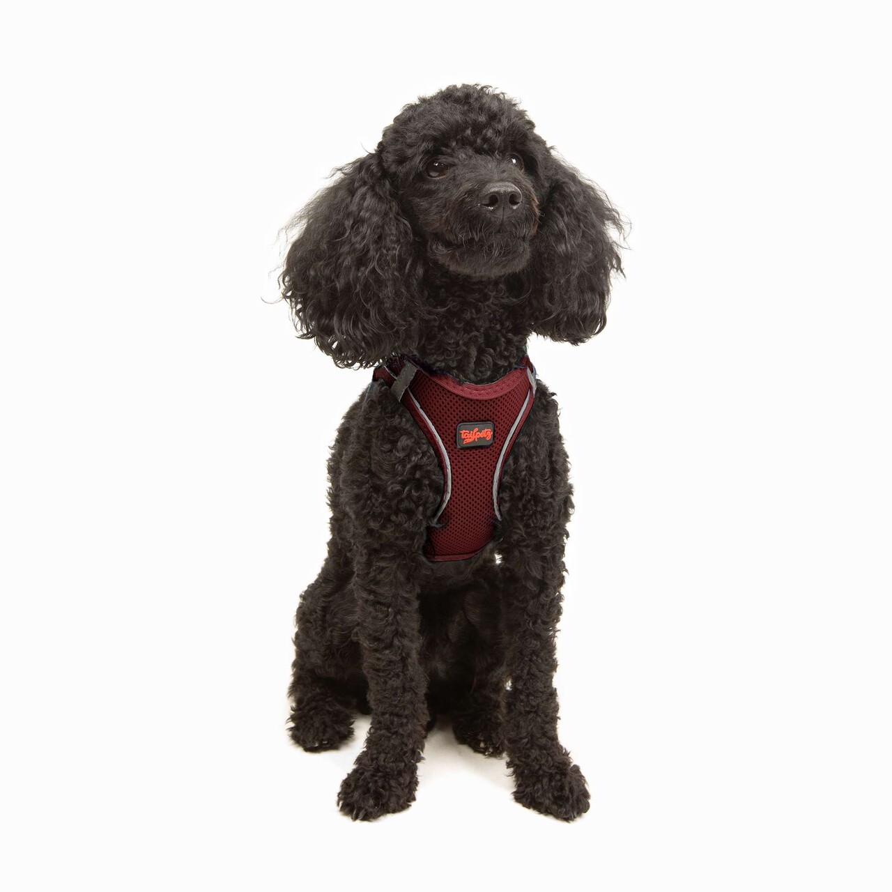 Ham pentru câini, Paws &amp; Whiskers, Air-Mesh, Poliester, Rosu claret - view 2