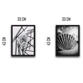 Set 2 tablouri decorative, Shell Dandelion Set, PAL, Hartie, Multicolor
