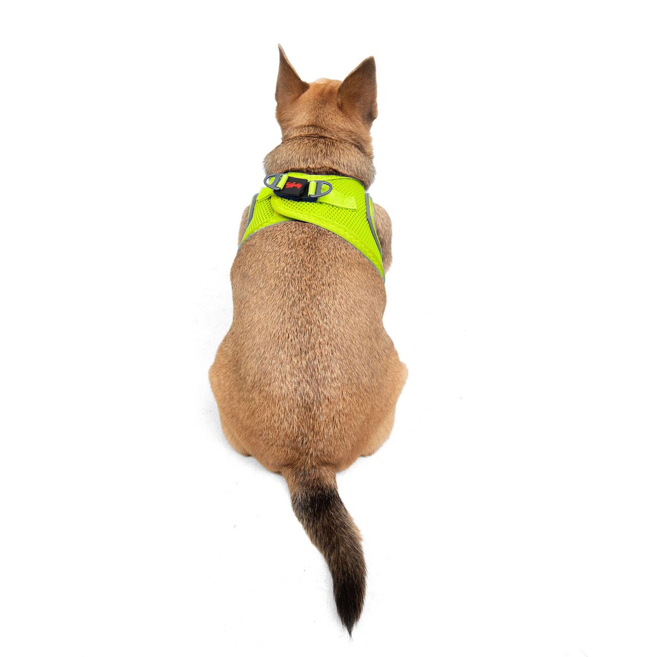 Ham pentru câini, Paws &amp; Whiskers, Air-Mesh, Poliester, Neo Lime - view 2