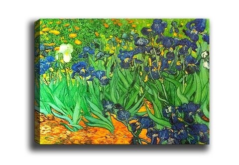 Poza Tablou decorativ Irises Garden, Tablo center, 40x60 cm, canvas, multicolor