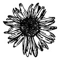 Decoratiune de perete, Daisy 2, Tanelorn, 70x70 cm, metal
