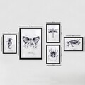 Set 5 tablouri decorative, SET_017, Lulu, 24x29 cm/34x44 cm, plastic