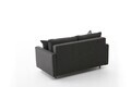 Canapea 2 locuri, Atelier del Sofa, 613LFS1138, Antracit
