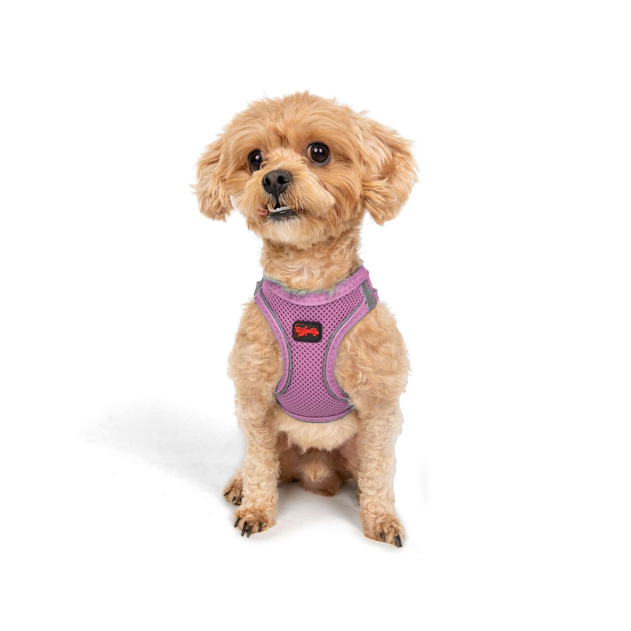 Ham pentru câini, Paws &amp; Whiskers, Air-Mesh, Poliester, Lila - view 4