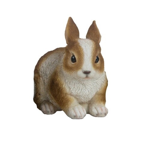 Decoratiune pentru gradina, esschert, dwarf rabbit, 14.3 x 9 x 12.3 cm, polirasina, multicolor