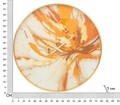 Ceas de perete, Toply, Mauro Ferretti, Ø80 cm, sticla/MDF/metal, multicolor
