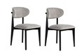Set scaune 2 piese, Wayland, Lionte, Gri/Negru