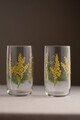 Set pahare, Hermia, 127RKL1640, Transparent