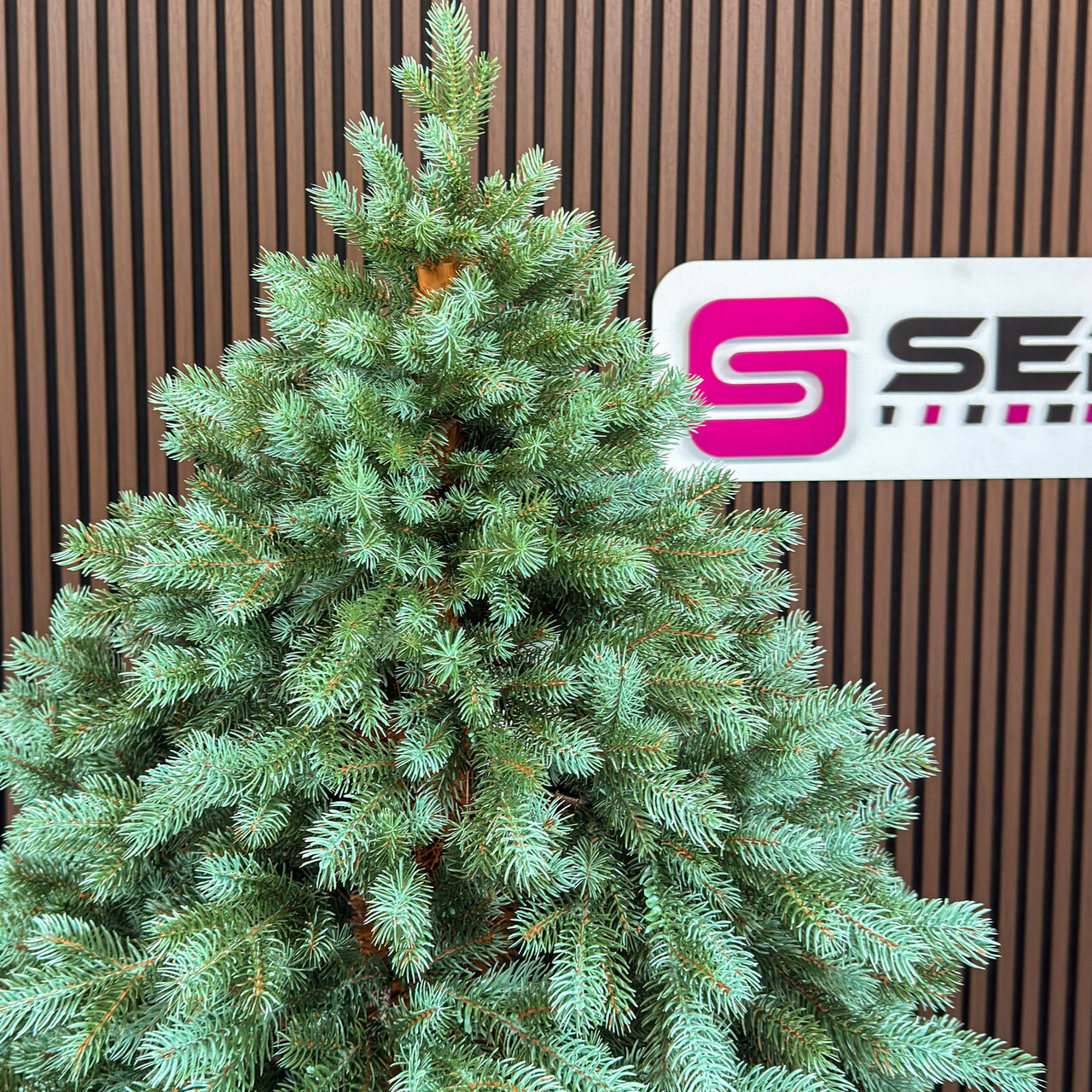 Brad artificial Sersimo, Hollandia, verde cu varfuri argintii, Integral 3D, 230 cm