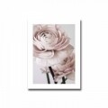 Tablou decorativ, Alpha Wall, Pink Petal, 30x40 cm