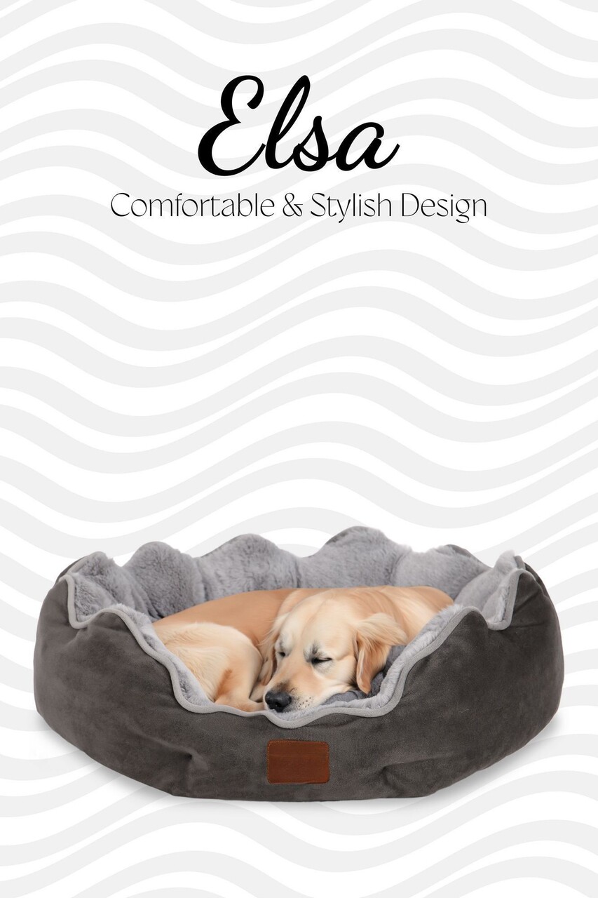Pat pentru animale de companie, Paws &amp; Whiskers, Elsa Dog S, Material exterior: 100% poliester, Antracit - view 2