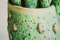 Tablou decorativ Cactus Jar -H, Mauro Ferretti, 40x40 cm, canvas/lemn de pin/plastic, multicolor