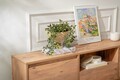 Comoda TV, Nordure, Vanguard, 160x42x29 cm, PAL, Maro