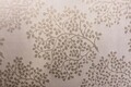 Draperie Mendola Interior, Aguilar, 140x245 cm, policoton, crem/auriu