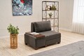 Fotoliu extensibil, Balcab Home, 825BLC4716, Lemn, Antracit