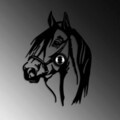 Aplica de perete, Shadow, 526SHD1166, Metal, Negru
