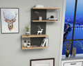 Raft de perete, Kalune Design, Destan, 65x96x19 cm, Antracit / Stejar