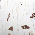 Lenjerie de pat dubla Idalia, Homla, 3 piese, 160x200 cm, bumbac, alb/maro
