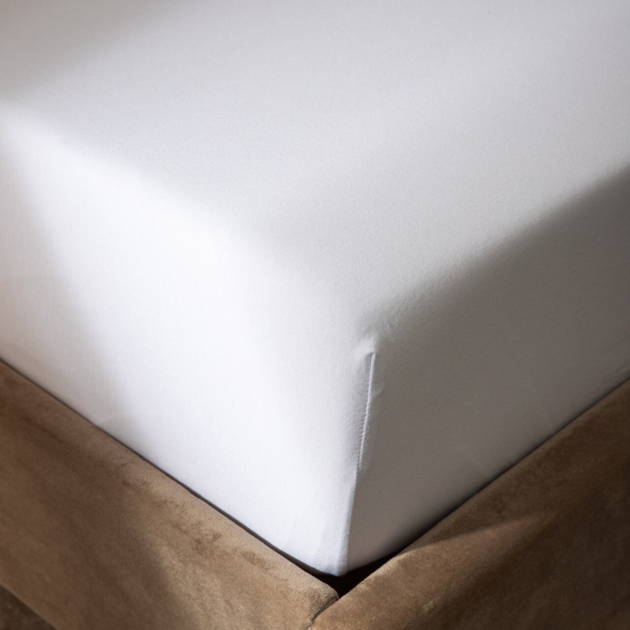 Cearceaf de pat cu elastic Pelly, Homla, 160x200 cm, bumbac, alb