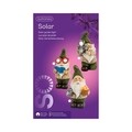 Lampa de gradina Gnome w camera, Lumineo, 12x14.5x23 cm, polirasina, multicolor