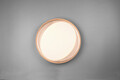Plafoniera Zeta, RL, 48.5x7 cm, 24W, 1x SMD, plastic, negru