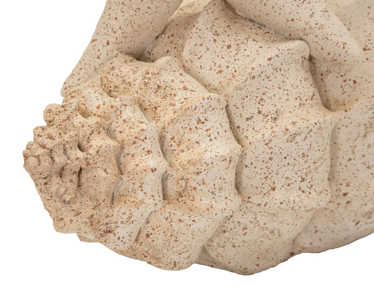 Decoratiune, Mauro Ferretti, Star Fish, 18x13x21.2 cm, polirasina, bej - imagine 3