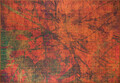 Covor, Fusion Chenille, 230x330 cm, Poliester , Multicolor