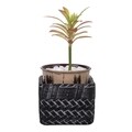 Ghiveci, Drew, Creaciones Meng, 10.6x10.6x8.5 cm, ciment, negru