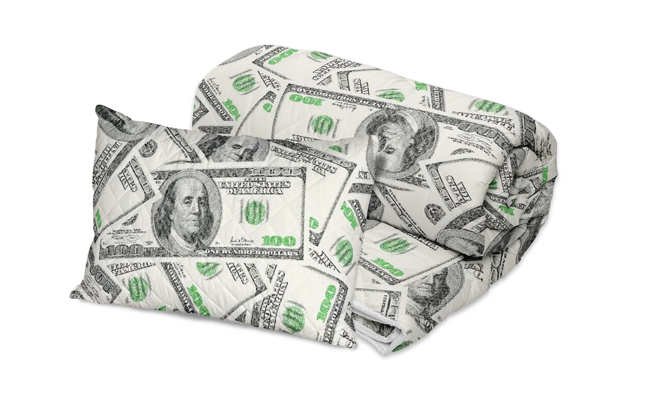 Set Alcam perna microfibra 50x70 cm si pilota matlasata 140x200 cm, Dollar Dream - imagine 2