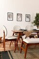 Set Masa si Scaune, Vow Chair, Touch (4S-1B), Lemn de carpen, Maro/Crem