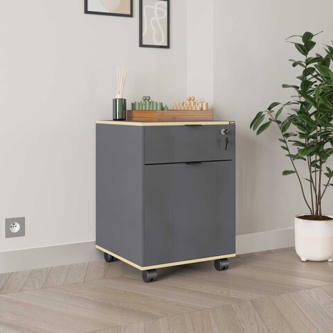 Dulap multifunctional, Adore, Rkm-311-Ax-1, Antracit / Stejar