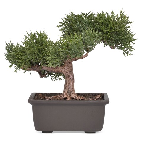 Planta artificiala in ghiveci, bonsai, 18 cm, plastic/poliester, multicolor