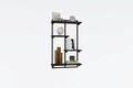 Raft de perete, Asse Home, Dodo, 54x90x15 cm, Antracit / Nuc