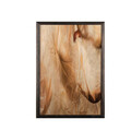 Tablou decorativ, Feather, Lemn, Lemn, Multicolor