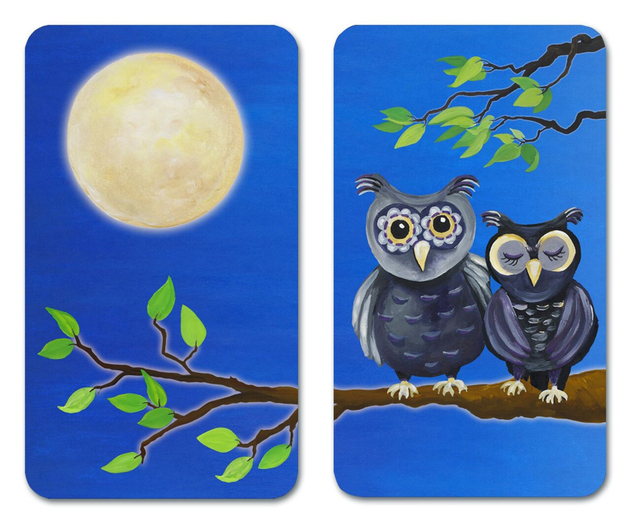 Set 2 protectii universale pentru aragaz, Maximex, Owl