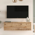 Comoda TV Serit, Pakoworld, 100x31.6x29.6 cm, PAL/MDF, sonoma