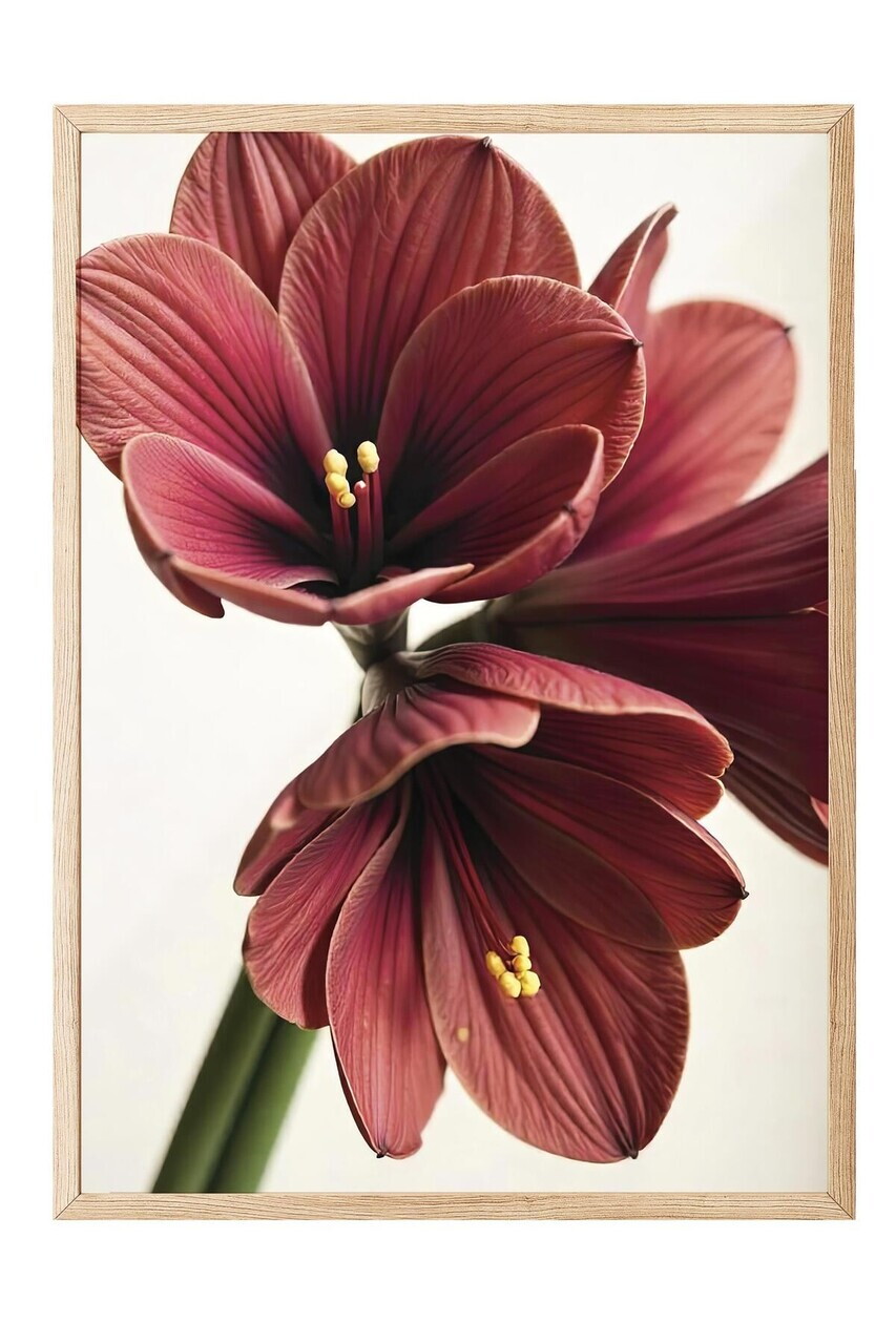 Tablou decorativ, 108644, Lemn masiv, Sticla PVC, Multicolor - view 2